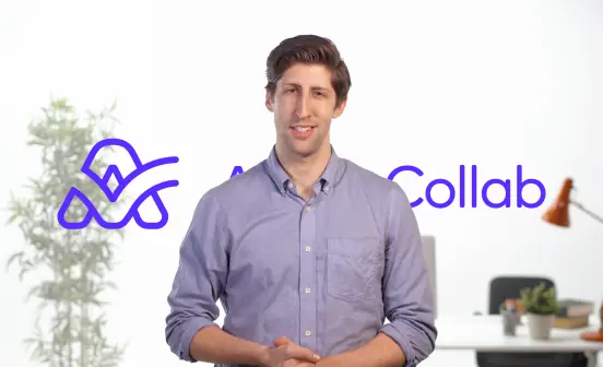 Play ActiveCollab demo video